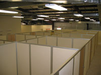 Cubicals